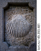 Camino Santiago stone shell sign in Combarro Way of Saint James Pontevedra Galicia Spain. Стоковое фото, агентство Ingram Publishing / Фотобанк Лори