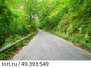 Covadonga road forest in Asturias Picos Europa mountains Spain. Стоковое фото, агентство Ingram Publishing / Фотобанк Лори