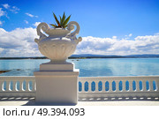 La Toja island Toxa beach flower pot in Pontevedra Galicia Spain. Стоковое фото, агентство Ingram Publishing / Фотобанк Лори