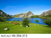 Enol lake at Picos de Europa in Asturias of Spain. Стоковое фото, агентство Ingram Publishing / Фотобанк Лори