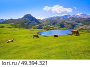 Ercina lake at Picos de Europa in Asturias of Spain. Стоковое фото, агентство Ingram Publishing / Фотобанк Лори