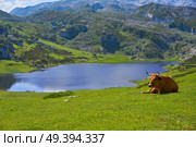 Ercina lake at Picos de Europa in Asturias of Spain. Стоковое фото, агентство Ingram Publishing / Фотобанк Лори