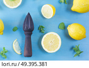 Fresh lemon citrus fruits with mint leaves and citrus reamer on blue bakground. Fresh lemon fruits. Стоковое фото, агентство Ingram Publishing / Фотобанк Лори