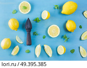 Fresh lemon citrus fruits with citrus reamer on blue bakground. Fresh lemon fruits. Стоковое фото, агентство Ingram Publishing / Фотобанк Лори