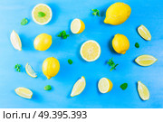Fresh lemon citrus fruits slices with mint leaves pattern on blue bakground. Fresh lemon fruits. Стоковое фото, агентство Ingram Publishing / Фотобанк Лори