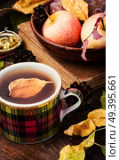 Teacup on an autumn background of fallen leaves and apples .Autumn postcard. Autumn still life with tea cups. Стоковое фото, агентство Ingram Publishing / Фотобанк Лори