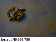 Colorful rag on oxide painted background. Стоковое фото, агентство Ingram Publishing / Фотобанк Лори