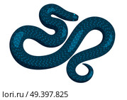 Curved slither blue python top view icon. Creeping mystical blue snake with glowing eyes flat vector isolated on white background. Crawling fairy reptile illustration for wild nature concepts, zoo ad. Стоковая иллюстрация, агентство Ingram Publishing / Фотобанк Лори