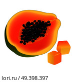 Sliced on half and diced papaya. Ripe tropical fruit realistic vector isolated on white background. Fresh ingredient of vegetarian salad illustration for healthy food and natural nutrition concepts. Стоковая иллюстрация, агентство Ingram Publishing / Фотобанк Лори