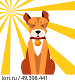 Basenji dog with closed eyes in red collar with gold medallion on sunny background. Friendly and playful dog breed vector illustration. Cartoon domestic animal on walk enjoys good warm weather.. Basenji Dog with Closed Eyes on Sunny Background. Стоковая иллюстрация, агентство Ingram Publishing / Фотобанк Лори