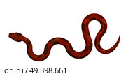 Curved slither python top view icon. Creeping glossy, spotted red tropical snake vector isolated on white background. Crawling poisonous reptile illustration for wild nature concepts, zoo ad. Стоковая иллюстрация, агентство Ingram Publishing / Фотобанк Лори