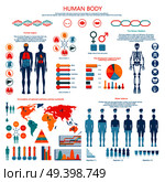 Human body infographic. Vector illustration of earthborn organs and skeleton, water balance, formulation of national medicines policies worldwide.. Concept of Human Body Colored Infographic Cartoon. Стоковая иллюстрация, агентство Ingram Publishing / Фотобанк Лори