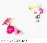 Flowers composition. Frame corners of eucaliptus leaves and ranunculus flowers on white background. Flat lay, top view, copy space. Flowers flat lay composition. Стоковое фото, агентство Ingram Publishing / Фотобанк Лори