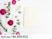 Flowers composition. Pattern made of dried eucaliptus leaves and flowers on white background. Flat lay, top view, copy space. Flowers flat lay composition. Стоковое фото, агентство Ingram Publishing / Фотобанк Лори