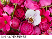 Flowers composition. Floral natural background made of rununculus and orchid flowers flowers.. Flowers flat lay composition. Стоковое фото, агентство Ingram Publishing / Фотобанк Лори