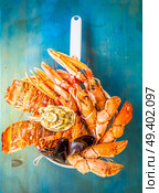 Fresh seafood catch of lobsters, crabs, and langostines on blue background, retro toned. Fresh seafood on blue background. Стоковое фото, агентство Ingram Publishing / Фотобанк Лори