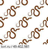 Curved slither snake seamless pattern. Creeping scaly brown tropical snake with yellow eves vector on white background. Crawling reptile illustration for wrapping paper, prints on fabric. Стоковая иллюстрация, агентство Ingram Publishing / Фотобанк Лори