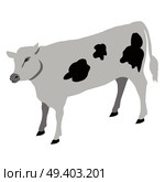Calf young of domestic cattle vector illustration. Calves are reared to become adult cow or slaughtered for their meat, called veal, and for their calfskin.. Calf Young of Domestic Cattle Vector Illustration. Стоковая иллюстрация, агентство Ingram Publishing / Фотобанк Лори
