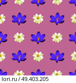 Seamless pattern with crocus meadow flower blossom isolated on purple background. Endless texture with tender flowers in flat style, wallpaper design. Seamless Pattern with Sakura Blossom Isolated. Стоковая иллюстрация, агентство Ingram Publishing / Фотобанк Лори