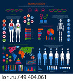 Human body infographic with organism structure, internal organs, whole skeleton, water balance and national medicine worldwide vector illustrations.. Human Body Detailed Infographic with Statistics. Стоковая иллюстрация, агентство Ingram Publishing / Фотобанк Лори