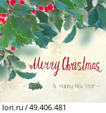 Holly branch with leaves and berries border on gray bokeh background with merry christmas greetings. Holly branch on gray background. Стоковое фото, агентство Ingram Publishing / Фотобанк Лори
