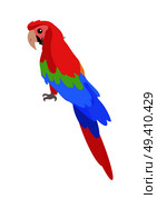 Ara parrot cartoon character. Cute Ara Parrot flat vector isolated on white. South America fauna. Colorful parrot icon. Wild animal illustration for zoo ad, nature concept, children book illustrating. Стоковая иллюстрация, агентство Ingram Publishing / Фотобанк Лори