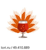 Snifter glass of beer in transparent glassware on background of ears of wheat vector. Dark alcohol beverage, symbol of Oktoberfest fest in cartoon style. Snifter Beer in Transparent Glassware Vector. Стоковая иллюстрация, агентство Ingram Publishing / Фотобанк Лори
