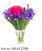 pink hortensia and blue irise  flowers in vase  isolated on white background. Стоковое фото, агентство Ingram Publishing / Фотобанк Лори