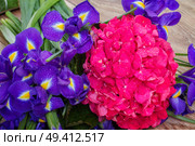 wet pink hortensia and violet irise  flowers on wooden bench. Стоковое фото, агентство Ingram Publishing / Фотобанк Лори