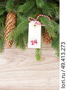 evergreen tree with cones  and christmas tag for 24 december. Стоковое фото, агентство Ingram Publishing / Фотобанк Лори