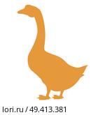 Silhouette of goose vector illustration isolated on white. Domestic large waterbird with a long neck, short legs, webbed feet, and a short broad bill in flat design. Silhouette of Goose Vector Illustration Isolated. Стоковая иллюстрация, агентство Ingram Publishing / Фотобанк Лори