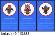 Merry Christmas 60s stylizied postcard with owl dressed in scarf and knitted hat. Vector illustration with congratulation on blue background. Merry Christmas Postcards Vector Illustration. Стоковая иллюстрация, агентство Ingram Publishing / Фотобанк Лори