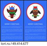 Merry Christmas 70s congratulation postcard with owl dressed in warm knitted clothes. Vector illustration with birds on blue background. Merry Christmas 70s Congratulation Postcard. Стоковая иллюстрация, агентство Ingram Publishing / Фотобанк Лори