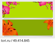 Happy holidays congratulation postcard with amazing lilies and orchid buds on green background. Vector illustration of flyers greeting cards. Happy Holidays Congratulation Postcard Lily Orchid. Стоковая иллюстрация, агентство Ingram Publishing / Фотобанк Лори