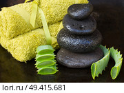 aloe vera spa setting with massage stones and towels . Стоковое фото, агентство Ingram Publishing / Фотобанк Лори