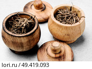 Dried rhizomes and roots of valerian medicinal.Medicinal herbs. Dry root valerian. Стоковое фото, агентство Ingram Publishing / Фотобанк Лори