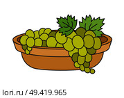 Clusters of green grapes in beige bowl art icon close-up isolated on white. Sweet juicy berry consisting of bunches with wide leaves. Vector illustration in cartoon style graphic flat design.. Clusters of Green Grapes in Beige Bowl Art Icon. Стоковая иллюстрация, агентство Ingram Publishing / Фотобанк Лори