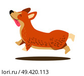 Happy playing corgi with protruding tongue in jump isolated on white background. Vector illustration with cute smiling dog happily running. Happy Playing Corgi Icon Vector Illustration. Стоковая иллюстрация, агентство Ingram Publishing / Фотобанк Лори