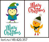 Merry Christmas banners congratulation from birds dressed in funny knitted clothes. Vector illustration with penguin in coat and chicken in scarf and hat. Merry Christmas Banners Congratulation from Birds. Стоковая иллюстрация, агентство Ingram Publishing / Фотобанк Лори