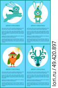 Merry Christmas set of posters with smiling animals dressed in warm clothes with sparklers. Vector illustration posters with text on blue background. Merry Christmas Set of Posters with Smiling Animal. Стоковая иллюстрация, агентство Ingram Publishing / Фотобанк Лори