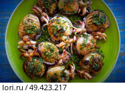 Grilled cuttlefish squid with parsley sauce and garlic lemon on green plate. Стоковое фото, агентство Ingram Publishing / Фотобанк Лори