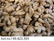 Ginseng ginger roots background pattern in market. Стоковое фото, агентство Ingram Publishing / Фотобанк Лори