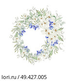 Watercolor wreath with forget me not flowers and chamomile, green leaves. Illustration. Watercolor wreath with forget me not flowers and chamomile, green leaves. . Стоковое фото, агентство Ingram Publishing / Фотобанк Лори