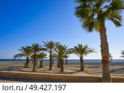 Santa Pola Tamarit beach in Alicante of Spain at Costa Blanca. Стоковое фото, агентство Ingram Publishing / Фотобанк Лори