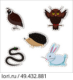 Cute forest animals stickers isolated on white background. Thick hazel grouse, brown owl, small hedgehog, fluffy rabbit and wriggling snake vector illustrations set. Cartoon funny creatures pictures.. Cute Cartoon Forest Animals Stickers Collection. Стоковая иллюстрация, агентство Ingram Publishing / Фотобанк Лори