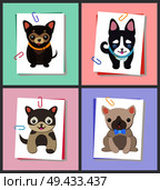 Dogs with good mood, collection of puppies with collars and pug wearing bow tie on neck, symbols of coming year, isolated on vector illustration. Dogs with Good Mood Collection Vector Illustration. Стоковая иллюстрация, агентство Ingram Publishing / Фотобанк Лори