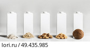 Vegan milk concept. White blank packaging, tetra-pack,  packet cartons with mock up to branding or design with best vegan milk ingredients: rice,  oatmeal, almond, soy and coconut at gray background. Стоковое фото, агентство Ingram Publishing / Фотобанк Лори