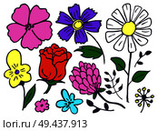 Flowers hand drawn elements set, flourishing rose and camomile, bluebonnet and dog-violet, leaves of plants, isolated on vector illustration. Flowers Hand Drawn Element Set Vector Illustration. Стоковая иллюстрация, агентство Ingram Publishing / Фотобанк Лори