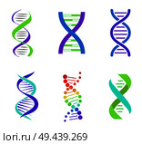 Colorful DNA spirals bright vector illustration with curved strands pair linked by straight lines different shape DNA cells isolated on white backdrop. Colorful DNA Spirals, Bright Vector Illustration. Стоковая иллюстрация, агентство Ingram Publishing / Фотобанк Лори