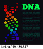 DNA colorful sign on poster with place for text, deoxyribonucleic DNA acid chain carrying genetic instructions used in functioning and reproduction vector. DNA Deoxyribonucleic Acid Chain Nucleotides Poster. Стоковая иллюстрация, агентство Ingram Publishing / Фотобанк Лори